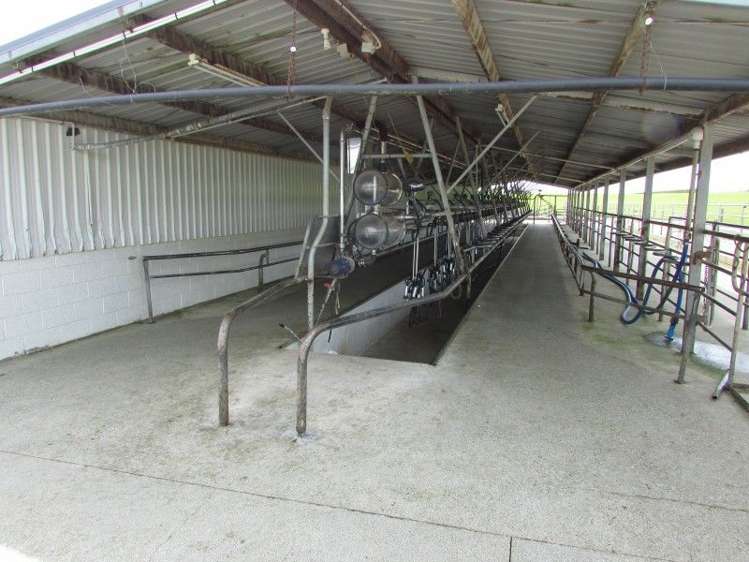 839 Grove Bush Woodlands Road Winton Surrounds_13