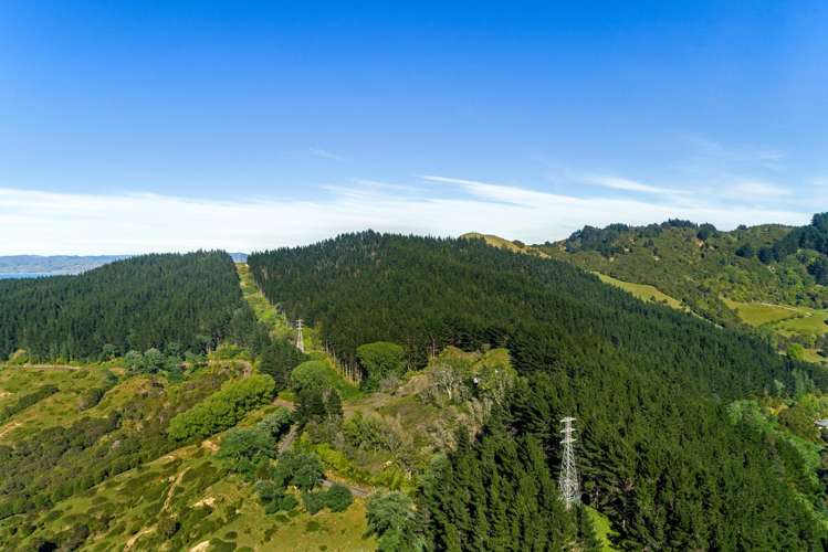 Riverside Road Matokitoki_11