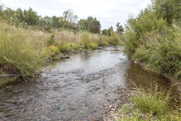 74 Neavesville Road Puriri_17