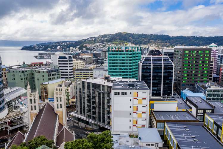 2/229 The Terrace Te Aro_9