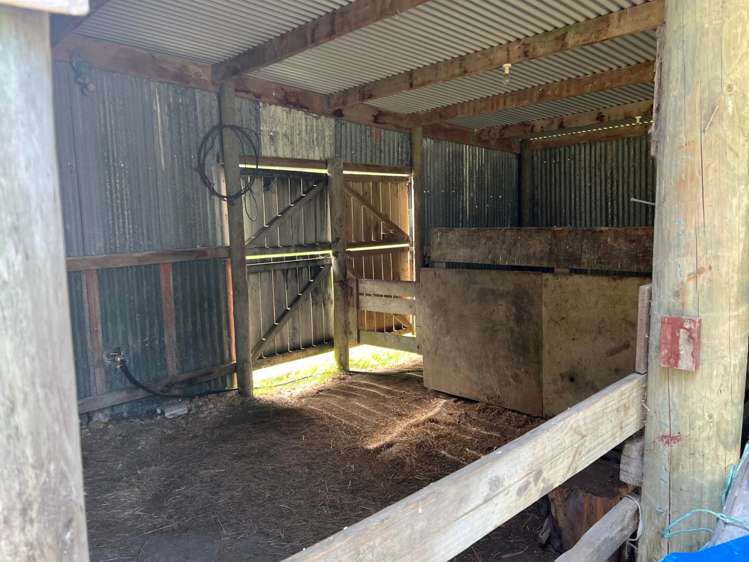 2850 Kaipara Coast Highway Glorit_10