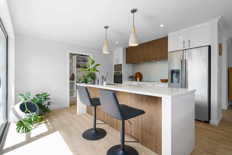 19 Homestead Lane Cambridge_7