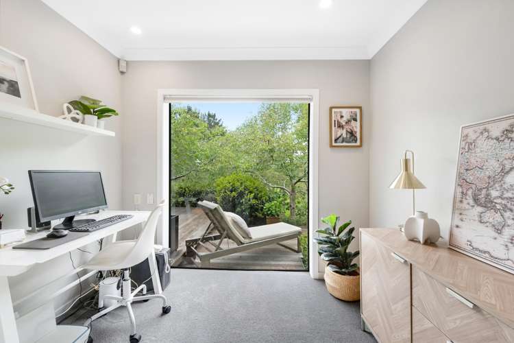 18 Ara-Kotinga Whitford_36