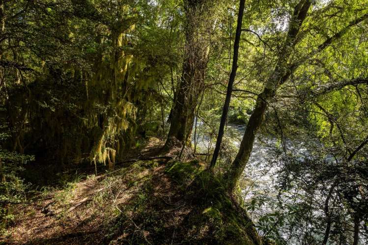 101 Gowan Valley Road Gowanbridge_21