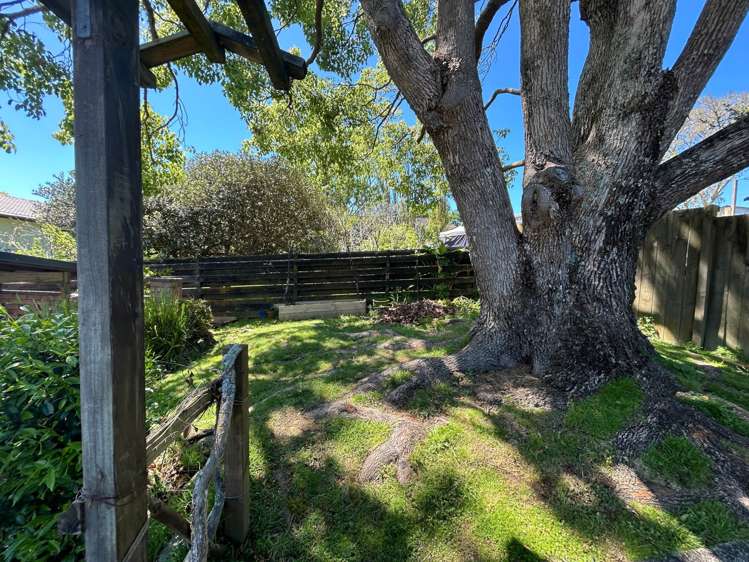 162 Glendhu Road Bayview_19