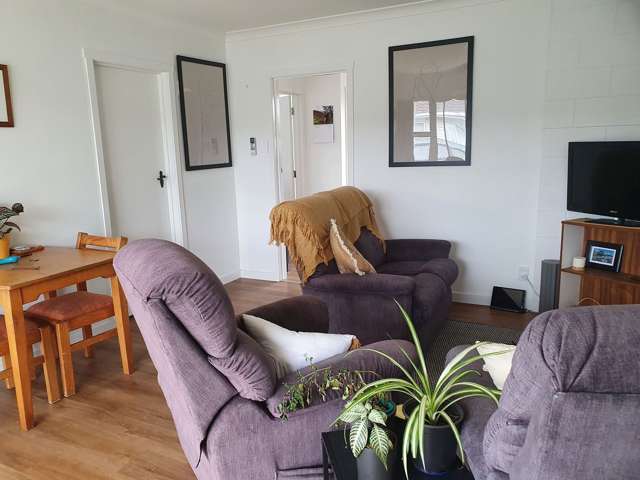 Warm, Sunny, Renovated, Furnished 2 Bedroom Home