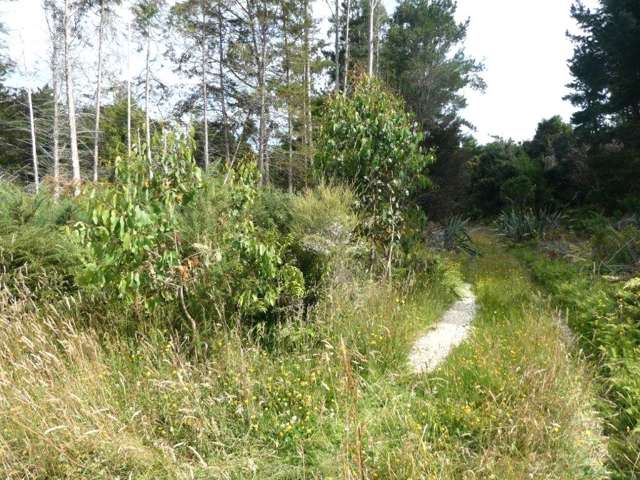 Keogans Road Hokitika_4