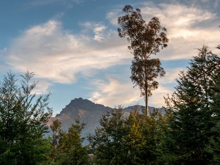 23 Tall Tree Lane Mount Creighton_17