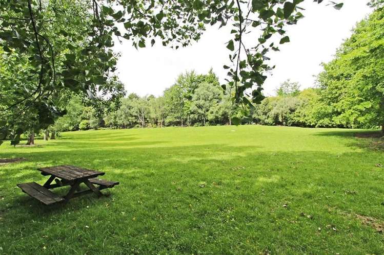 3 Tui Way Toi Toi_16