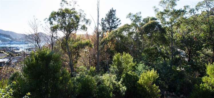 20 Russell Street Picton_21