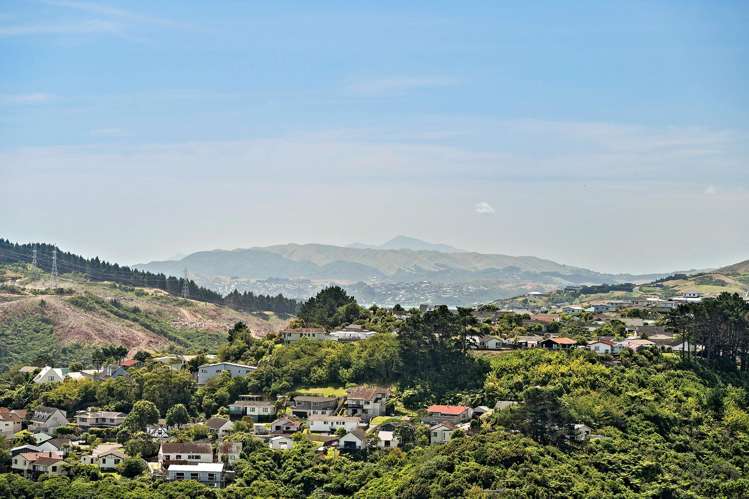 7 Tree Top Lane Paparangi_15