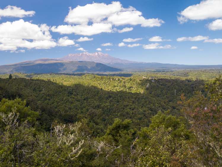 552b Cuff Road National Park_6