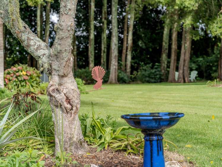 44L Darwin Road Kerikeri_17