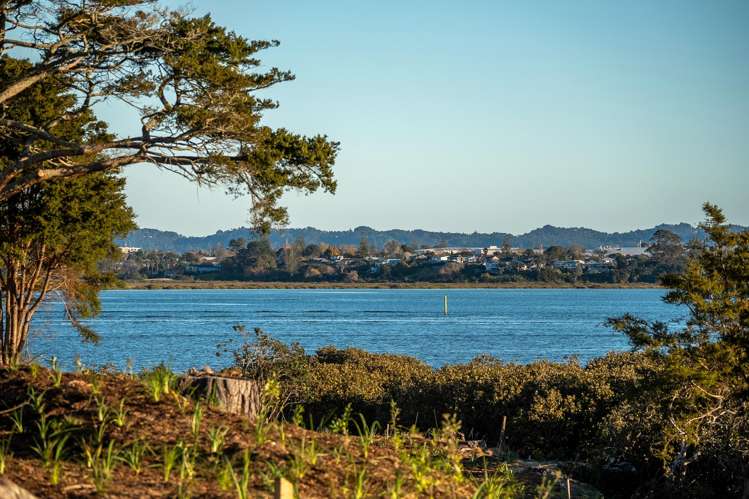 Lot 116/4 Scott Road Hobsonville_20