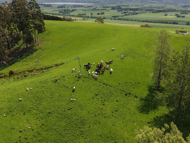 66 Otokia-Kuri Bush Road West Henley_17