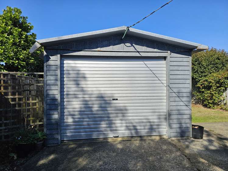 6 Nelson Street Levin_11