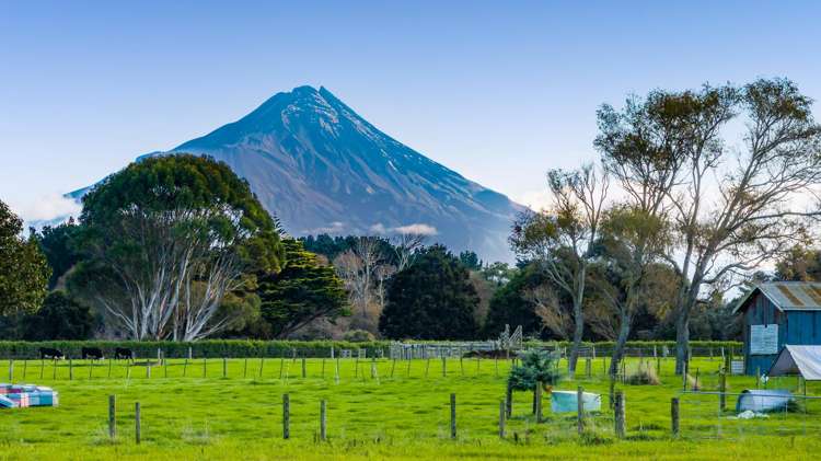 84 Mawhitiwhiti Road Normanby_17