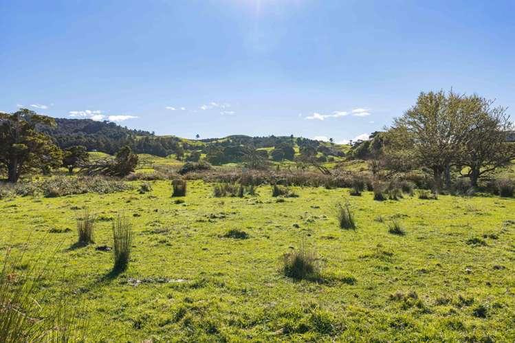 1516 State Highway 12 Maungaturoto_26