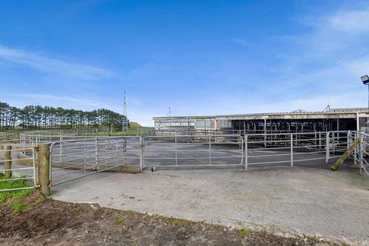 294 Kiri Road Te Kiri_22
