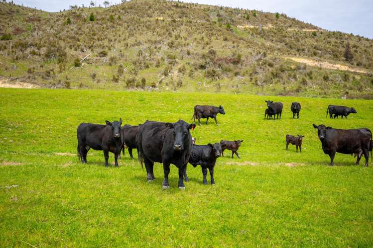 115 Howard Valley Road St Arnaud_44