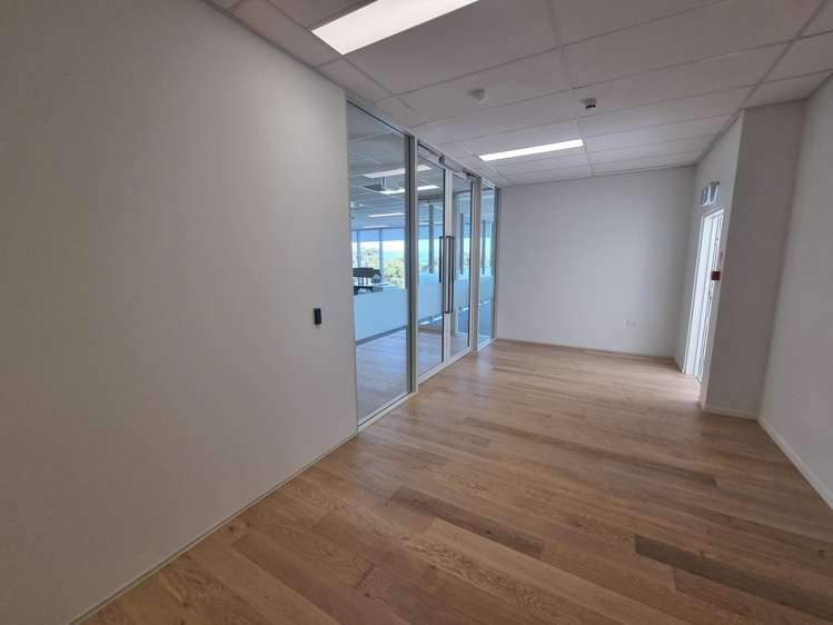 81 The Esplanade Petone_3