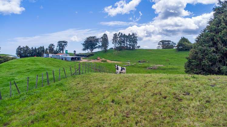 44 Te Rauamoa Road Otorohanga_35