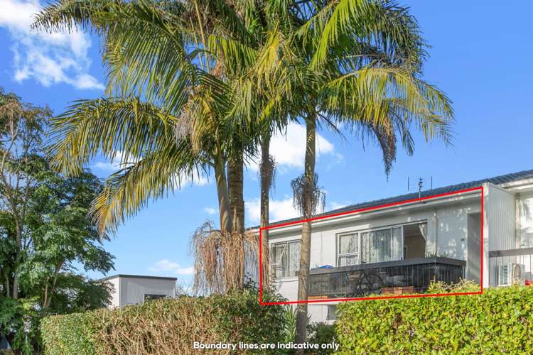 10/1 Norrie Avenue Mount Albert_1