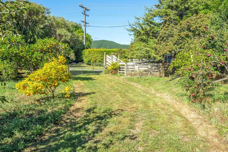 141 State Highway 1 Otaki_25