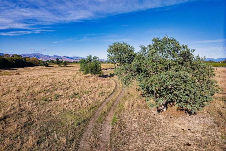 167 Hammerichs Road Rapaura_12