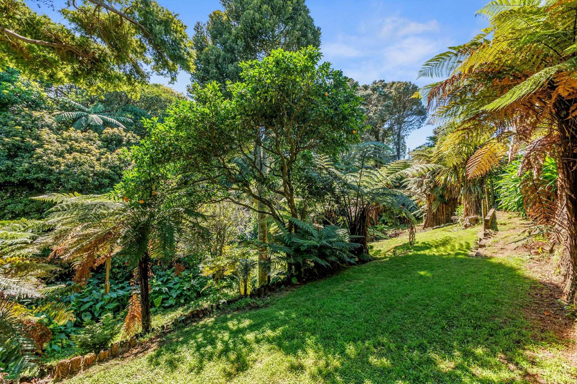 45 Mcfarlane Street Oakura_0