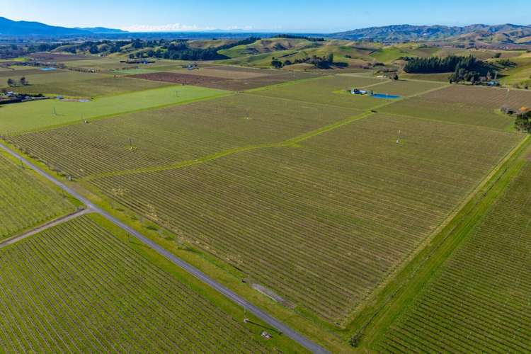487 Hawkesbury Road Hawkesbury_9