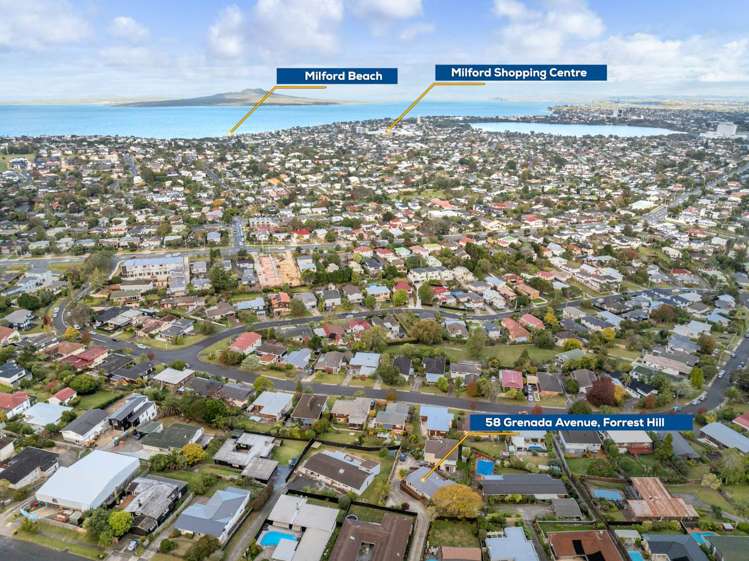 58 Grenada Avenue Forrest Hill_23