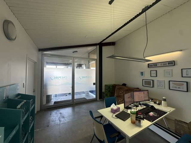 37 Scanlan Street Grey Lynn_1