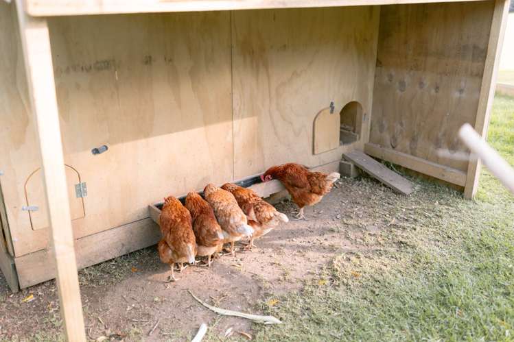 11 Mulberry Grove Road Great Barrier Island_69