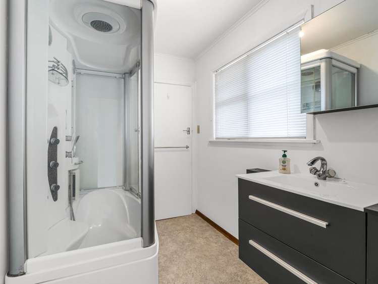 3 Roosevelt Street Levin_9