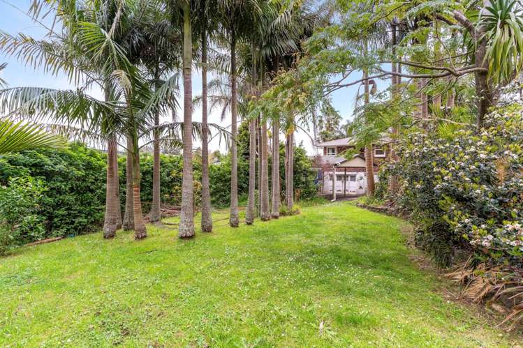 18 Triangle Road Massey_11