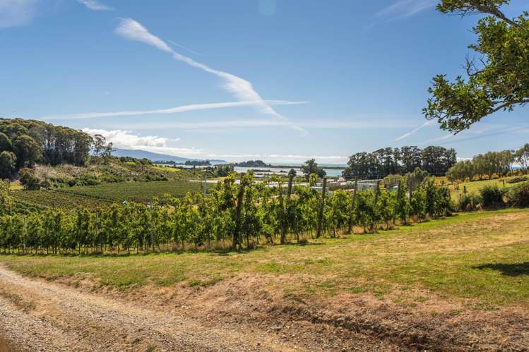 89 Weka Road Tasman_15