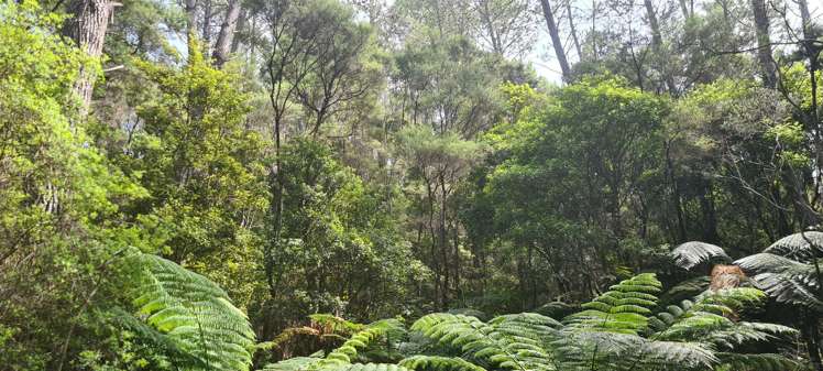 Garton Road Peria_13