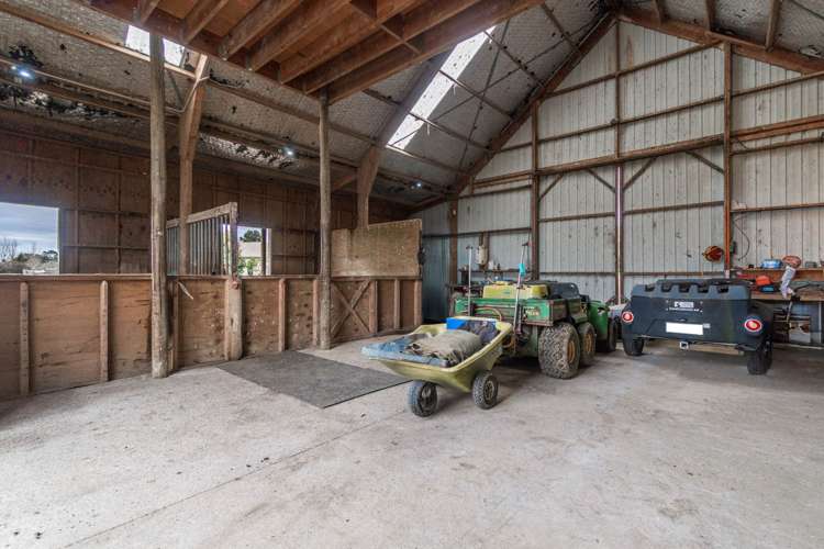 37E William Potter Lane Karaka_40