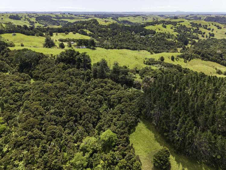 770 Fisher-Riley Road Kaingaroa_11