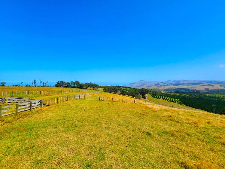 413 Monteith Road Dargaville Surrounds_15