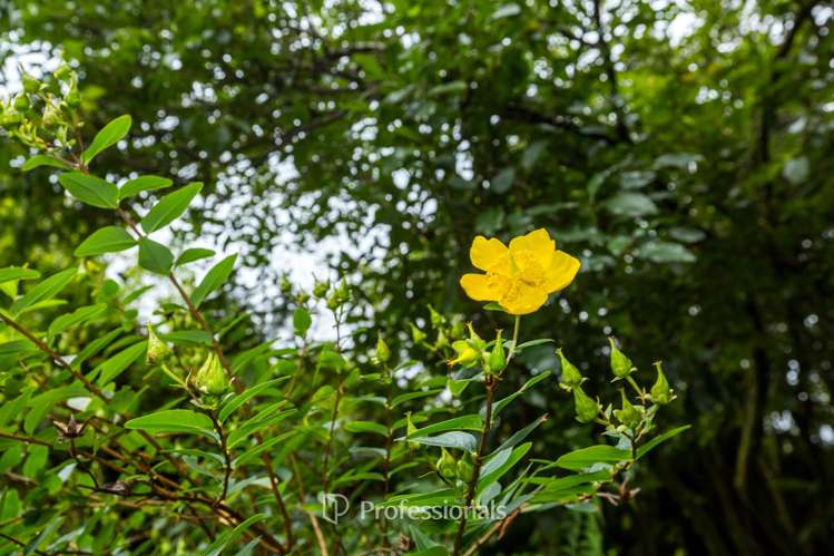 2150 Akatarawa Road Akatarawa_18