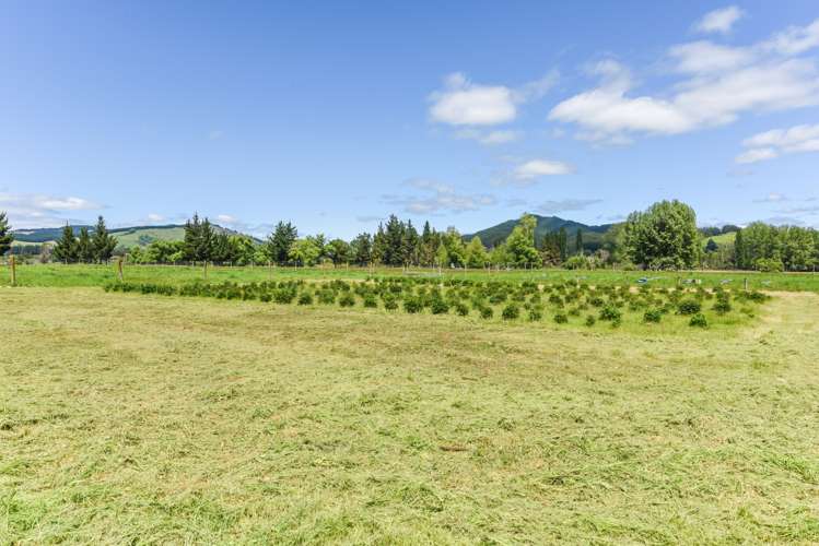 4180 Motueka Valley Highway Tapawera_24