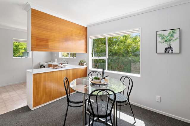 67 Rugby Street Levin_3