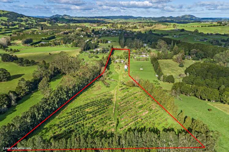 1272 Pipiwai Road Ruatangata_16