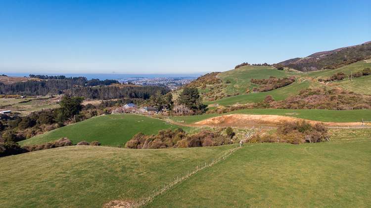 233 Leith Valley Road Leith Valley_9