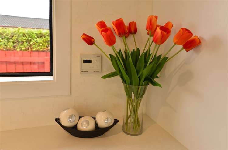 20 Cardinal Drive Hillmorton_18