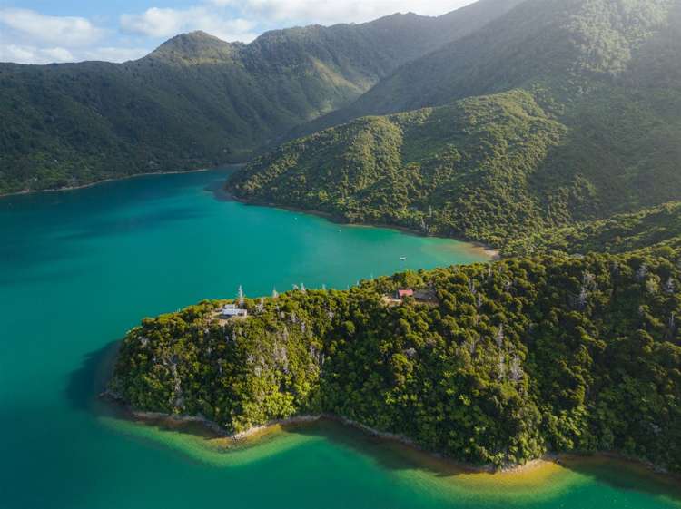 Lot 2 Tamuakawawe, North West Bay Pelorus Sound_5