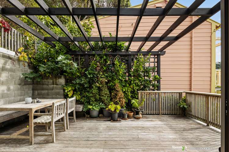 123d Aro Street Aro Valley_7