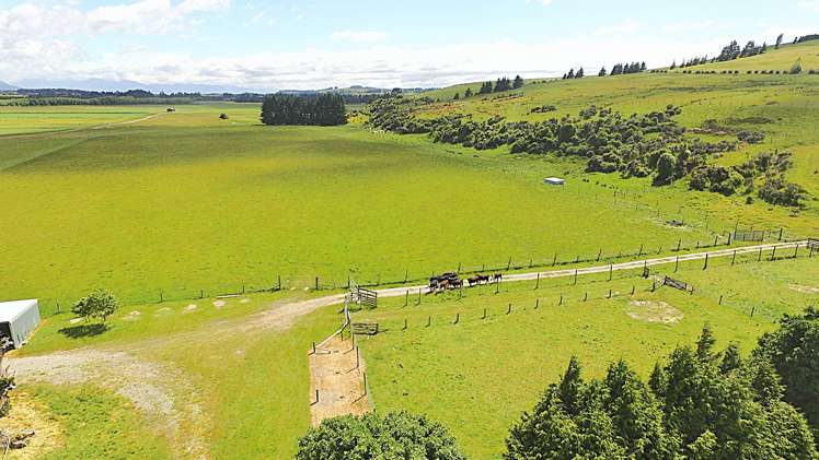 105 Lynwood Road New Lynn_15